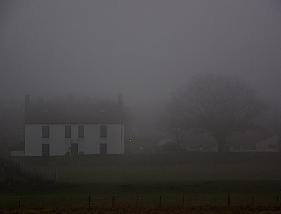 Inn the Mist