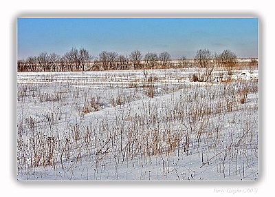 Winter view