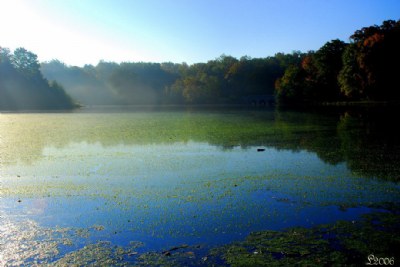 Before Winter