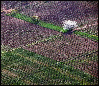 Country geometry