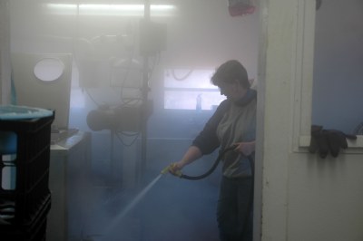 Cleaning and Steaming