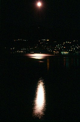 Moonlight on the lake