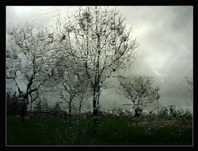 Spring Rain