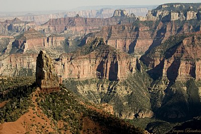 North Rim of the grand canyon