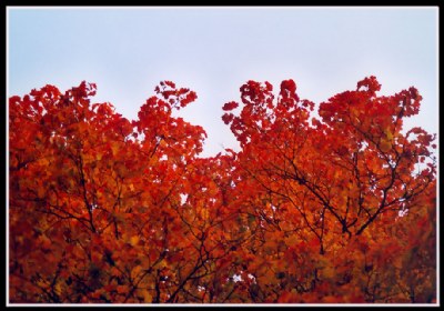 Red flames