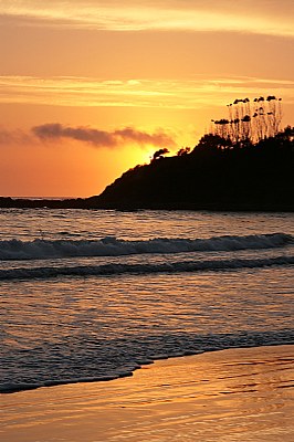 Woolgoolga Headland