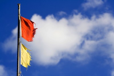 LIFEGUARD FLAGS