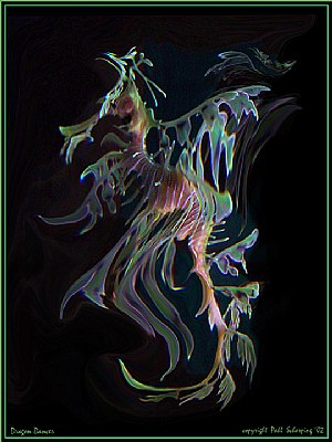 Leafy Sea Dragon