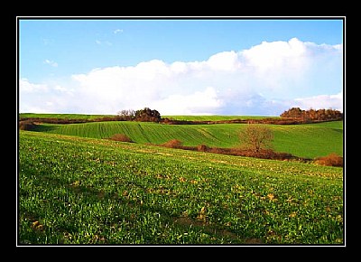 How Green was My Valley