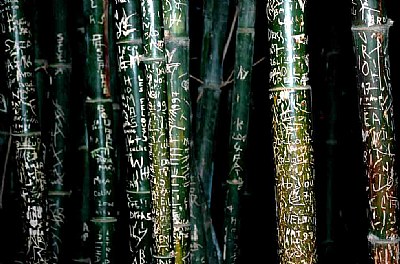 bamboo writing