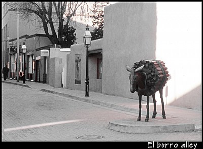 El Burro Alley