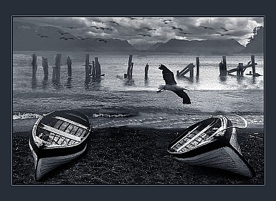 BOATS AND SEAGULL