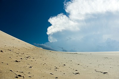 Dead Dune