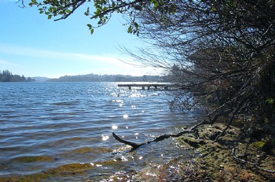 The Lake On Friday