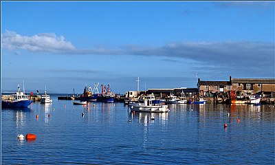 Lyme Regis Harbour