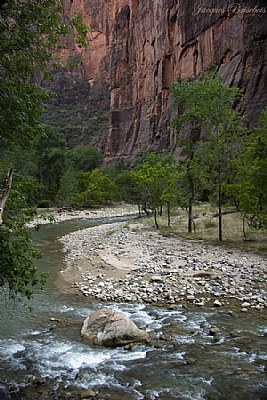 Zion's river