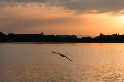 Tramonto al Giunco # 4