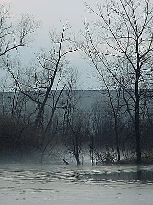 Misty Evening Pond