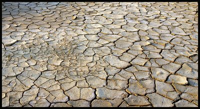 cracked soil