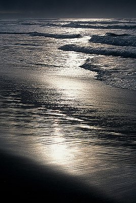 Moon Light on the beach