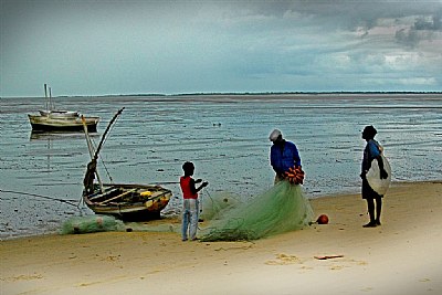 Fishing Nets . . .