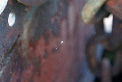 Tiny Web