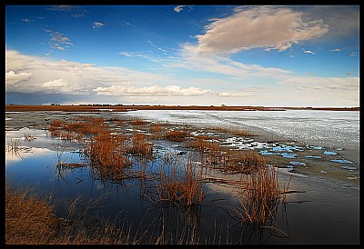 Muskrat Pond