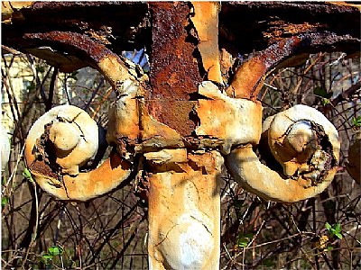 fence detail
