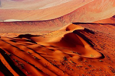 NAMIB