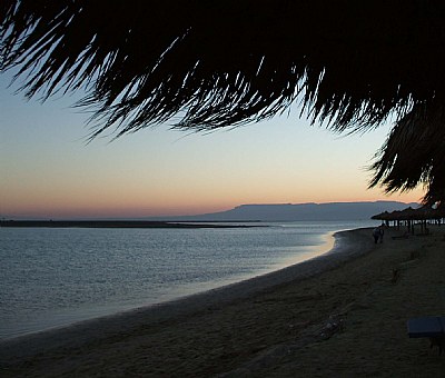 on beach