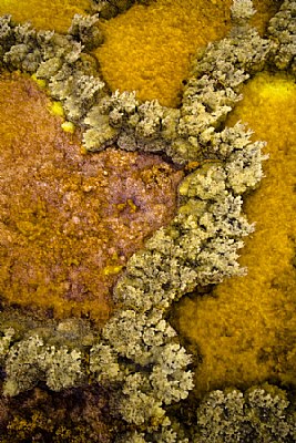 Dallol
