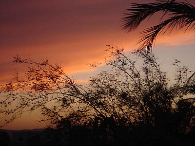sunset