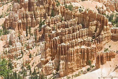 details of Bryce