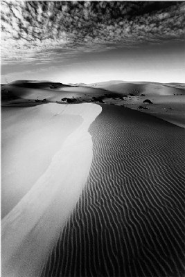 Dunes IV