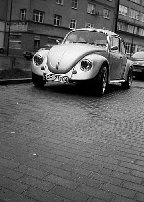 Old, Good Beetle...