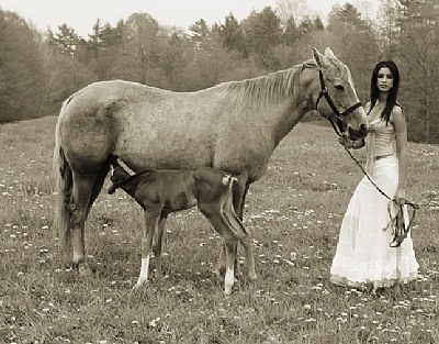 claudia with foal