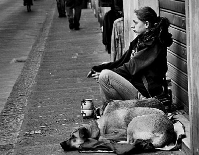 Amici di strada / Street Friends