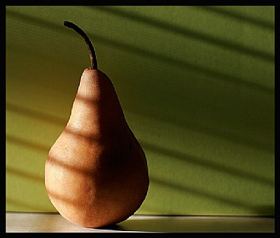 Kissed By Light (Bosc Pear Still Life)