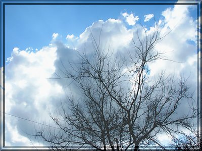 Shadow Cloud