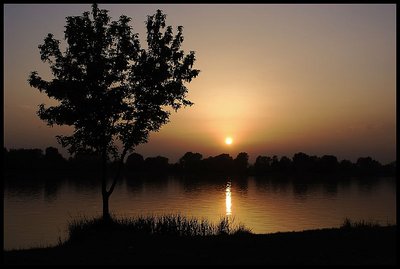 Our lake