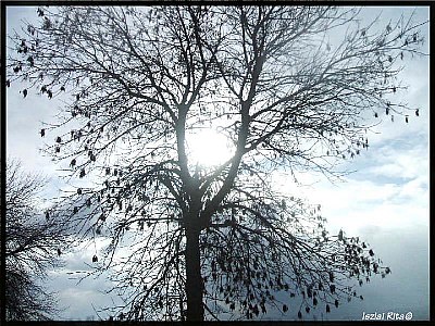 a light from somewhere 2