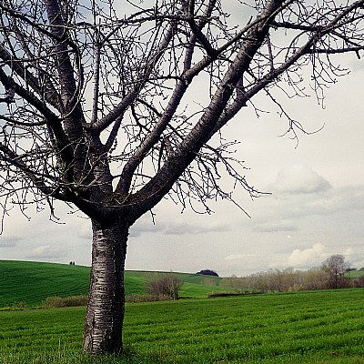 paesaggio in 6x6 #4