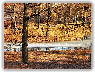 In a spring park