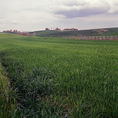 paesaggio in 6x6 #6