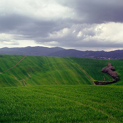 paesaggio in 6x6 #14