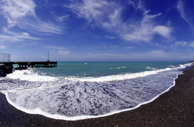 Marina di Cecina, Il Porticciolo