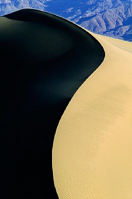 Living dunes