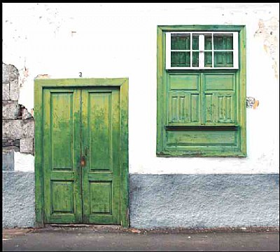 Doors & Windows(118)