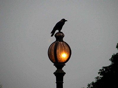 The Watch Tower