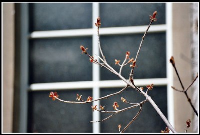 In front of the window